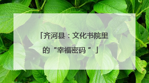 齐河县：文化书院里的“幸福密码 ”