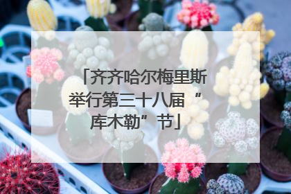 齐齐哈尔梅里斯举行第三十八届“库木勒”节