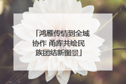 鸿雁传情到全域协作 甬库共绘民族团结新图景