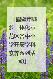 鹤壁市城乡一体化示范区各中小学开展学科素养系列活动
