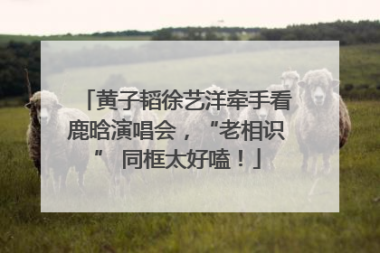 黄子韬徐艺洋牵手看鹿晗演唱会，“老相识” 同框太好嗑！
