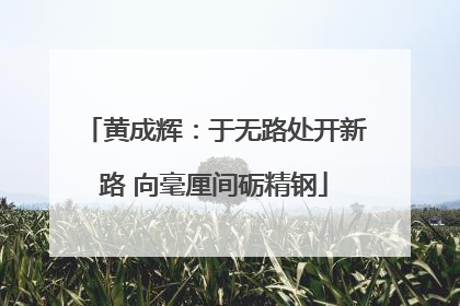 黄成辉：于无路处开新路 向毫厘间砺精钢