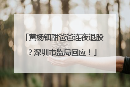 黄杨钿甜爸爸连夜退股？深圳市监局回应！