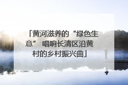 黄河滋养的“绿色生意” 唱响长清区沿黄村的乡村振兴曲