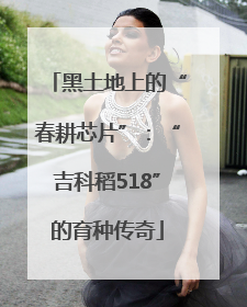 黑土地上的“春耕芯片”：“吉科稻518”的育种传奇