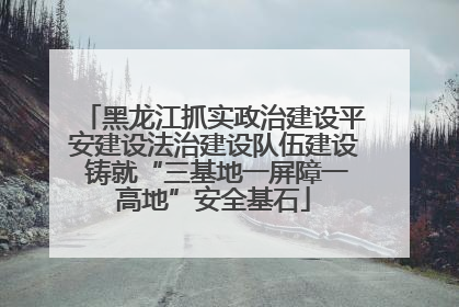 黑龙江抓实政治建设平安建设法治建设队伍建设 铸就“三基地一屏障一高地”安全基石