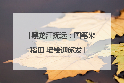 黑龙江抚远：画笔染稻田 墙绘迎旅发
