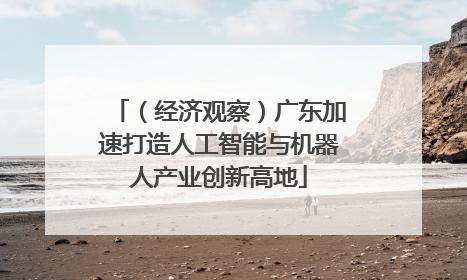 （经济观察）广东加速打造人工智能与机器人产业创新高地