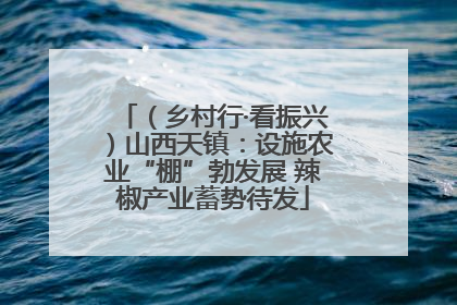 （乡村行·看振兴）山西天镇：设施农业“棚”勃发展 辣椒产业蓄势待发