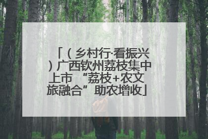 （乡村行·看振兴）广西钦州荔枝集中上市 “荔枝+农文旅融合”助农增收