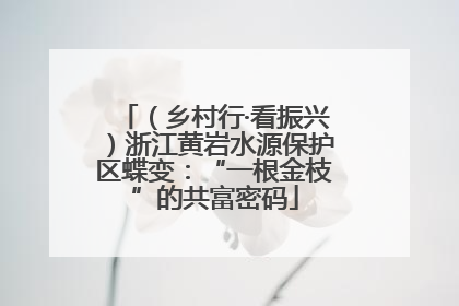 （乡村行·看振兴）浙江黄岩水源保护区蝶变：“一根金枝”的共富密码
