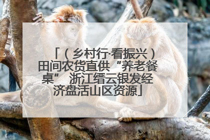 （乡村行·看振兴）田间农货直供“养老餐桌” 浙江缙云银发经济盘活山区资源