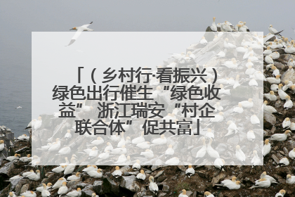 （乡村行·看振兴）绿色出行催生“绿色收益” 浙江瑞安“村企联合体”促共富