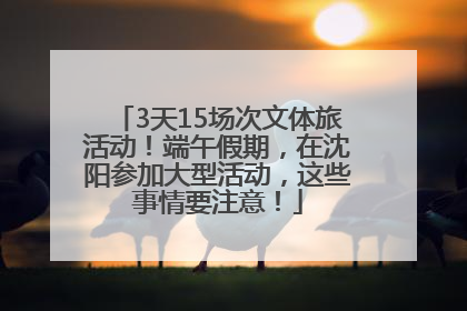 3天15场次文体旅活动！端午假期，在沈阳参加大型活动，这些事情要注意！