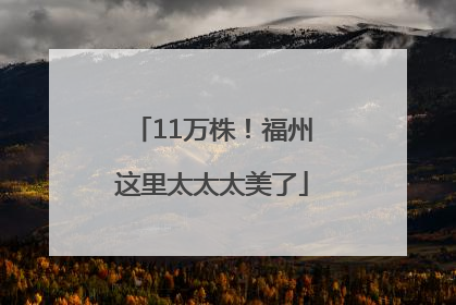 11万株！福州这里太太太美了