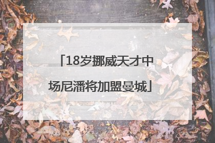 18岁挪威天才中场尼潘将加盟曼城