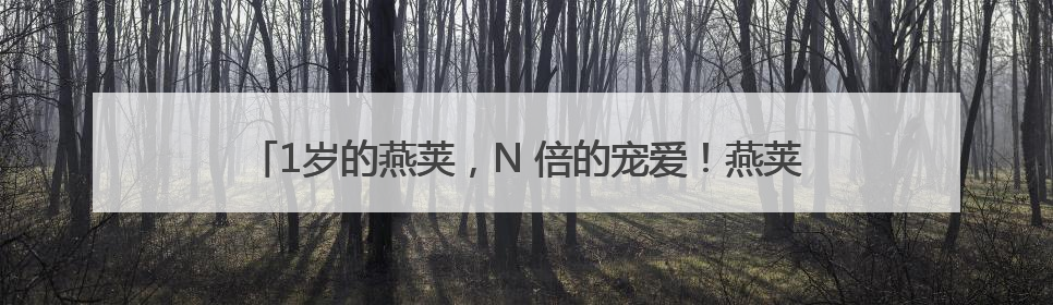 1岁的燕荚，N 倍的宠爱！燕荚周年“荚”年华狂欢攻略大公开