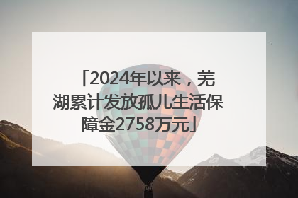 2024年以来，芜湖累计发放孤儿生活保障金2758万元