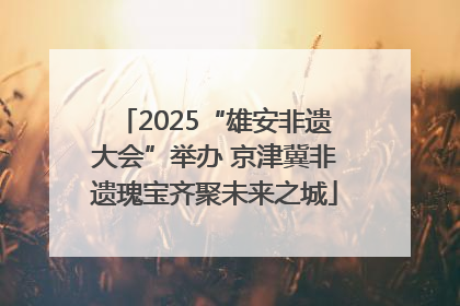 2025“雄安非遗大会”举办 京津冀非遗瑰宝齐聚未来之城