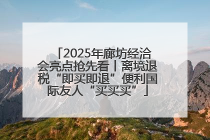 2025年廊坊经洽会亮点抢先看丨离境退税“即买即退”便利国际友人“买买买”