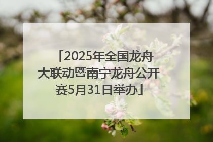 2025年全国龙舟大联动暨南宁龙舟公开赛5月31日举办