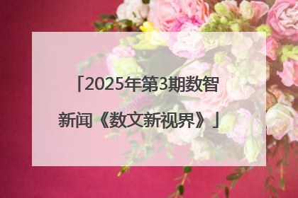 2025年第3期数智新闻《数文新视界》