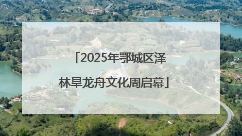 2025年鄂城区泽林旱龙舟文化周启幕