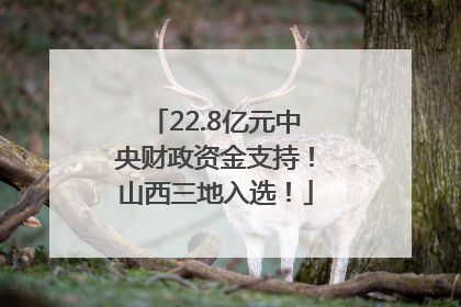 22.8亿元中央财政资金支持！山西三地入选！