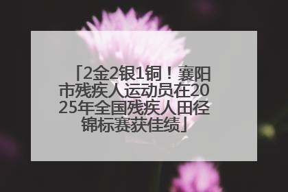 2金2银1铜！襄阳市残疾人运动员在2025年全国残疾人田径锦标赛获佳绩