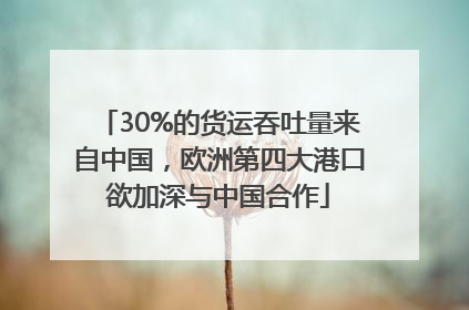 30%的货运吞吐量来自中国，欧洲第四大港口欲加深与中国合作
