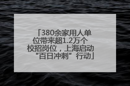 380余家用人单位带来超1.2万个校招岗位，上海启动“百日冲刺”行动