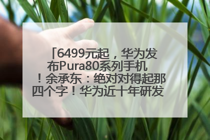 6499元起，华为发布Pura80系列手机！余承东：绝对对得起那四个字！华为近十年研发投入12490亿元