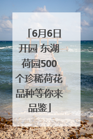 6月6日开园 东湖荷园500个珍稀荷花品种等你来品鉴