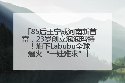 85后王宁成河南新首富，23岁创立泡泡玛特！旗下Labubu全球爆火“一娃难求”