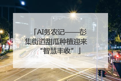 AI务农记——彭集街道甜瓜种植迎来“智慧丰收”