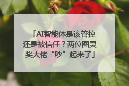 AI智能体是该管控还是被信任？两位图灵奖大佬“吵”起来了