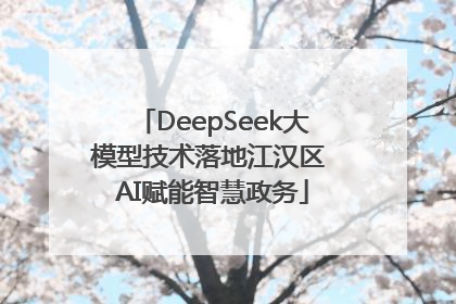 DeepSeek大模型技术落地江汉区 AI赋能智慧政务