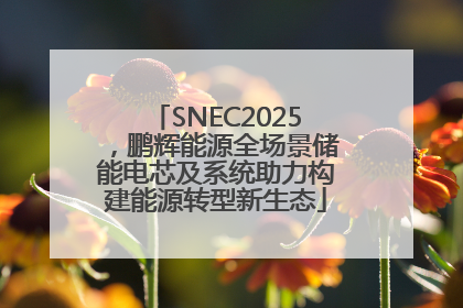 SNEC2025，鹏辉能源全场景储能电芯及系统助力构建能源转型新生态